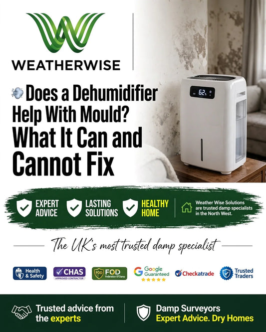 Does a Dehumidifier Help With Mould? What It Can and Cannot Fix