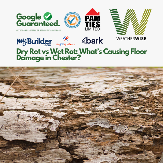 Dry Rot vs Wet Rot: What’s Causing Floor Damage in Chester?