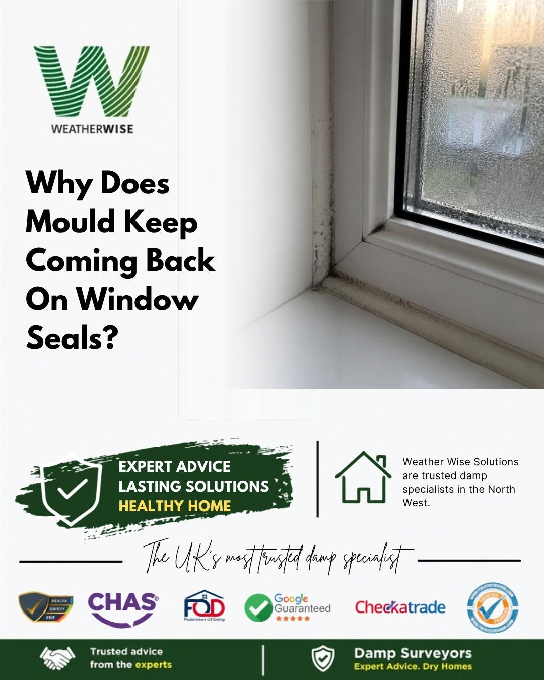 Why does black mould keep coming back on window seals and silicone in Warrington? Black mould along the silicone and seal in the lower corner of a white window with condensation on the glass