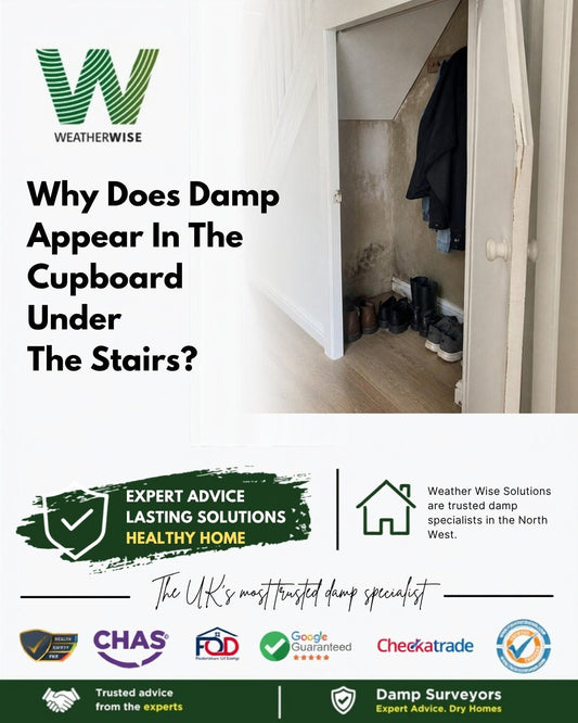 Why does damp appear in the cupboard under the stairs in Stafford? An open cupboard under the stairs with a stained back wall, a coat hanging and shoes on the floor