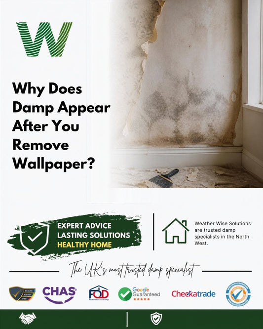 Why does damp appear on a wall after you remove wallpaper? Bare plaster wall with dark damp patches and peeling wallpaper in a Runcorn home - Weather Wise Solutions