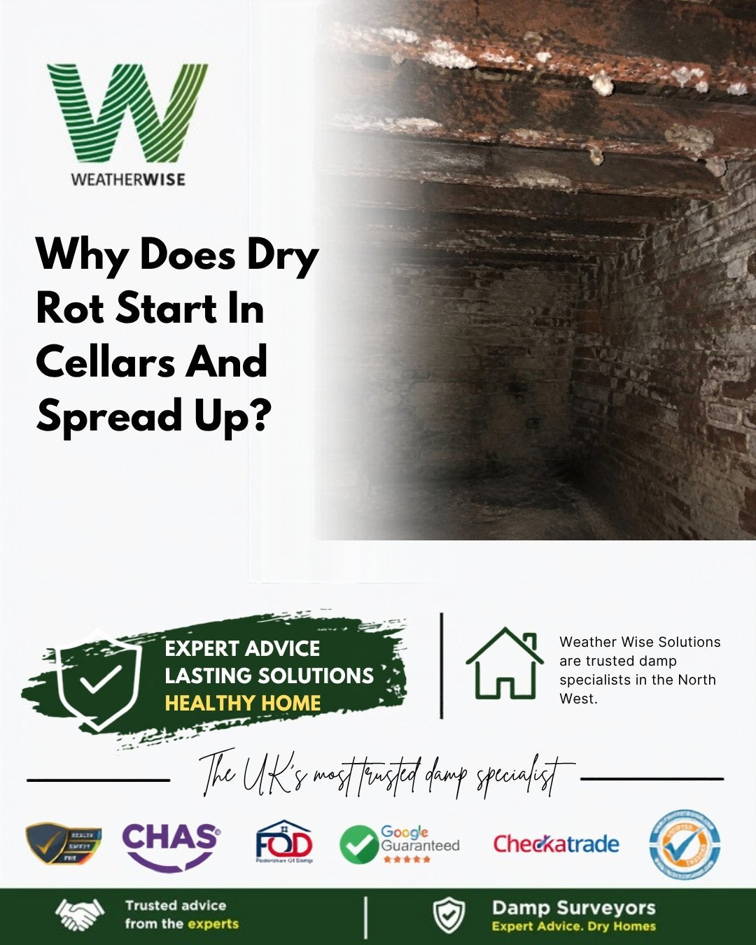 Why Does Dry Rot Start In A Cellar And Spread Into The Floor Above In Bolton? A dark brick cellar with white fungal growth on the timber joists overhead.