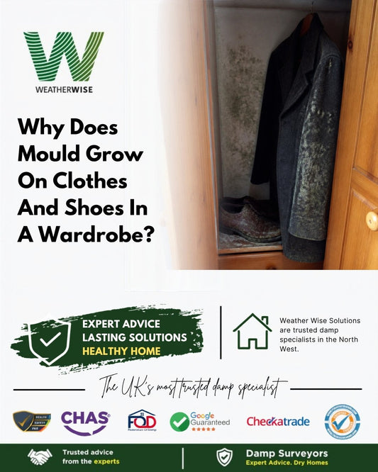Why does mould grow on clothes and shoes stored in a wardrobe on an outside wall in Nantwich? A mouldy coat and a pair of shoes inside an open wooden wardrobe, with mould spotting on the back wall