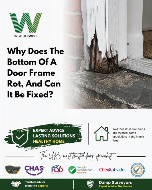 Why does the bottom of a timber door frame rot, and can it be repaired in Tamworth? Flaking white paint and dark rotten timber at the foot of an external door frame beside a worn stone threshold