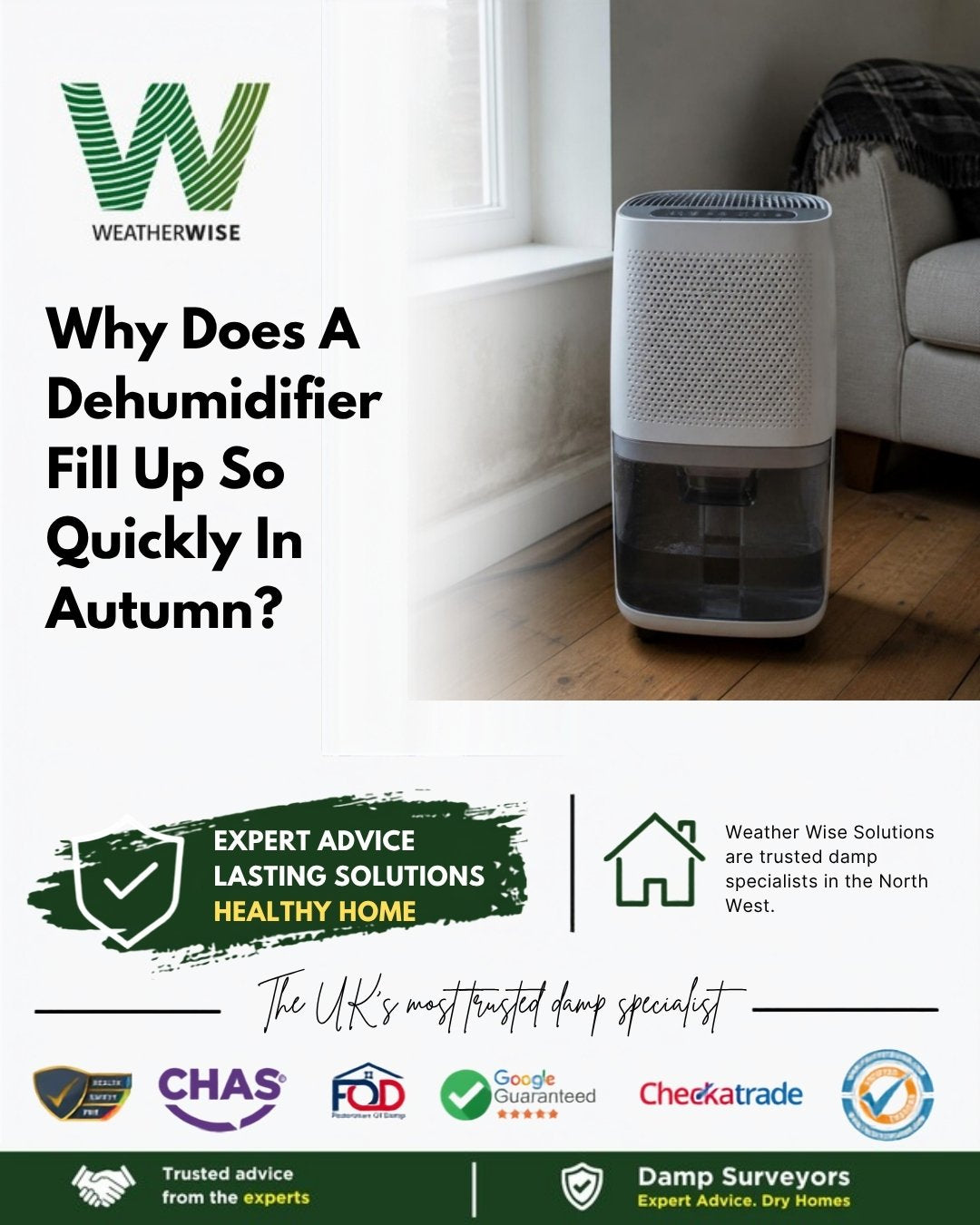 Why does your dehumidifier fill up so quickly in autumn? A white portable dehumidifier with a part-full water tank beside a damp-stained wall in a Congleton home