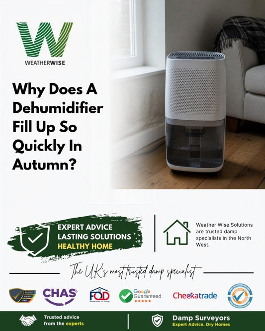 Why does your dehumidifier fill up so quickly in autumn? A white portable dehumidifier with a part-full water tank beside a damp-stained wall in a Congleton home