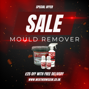 Mould Eradication Kit