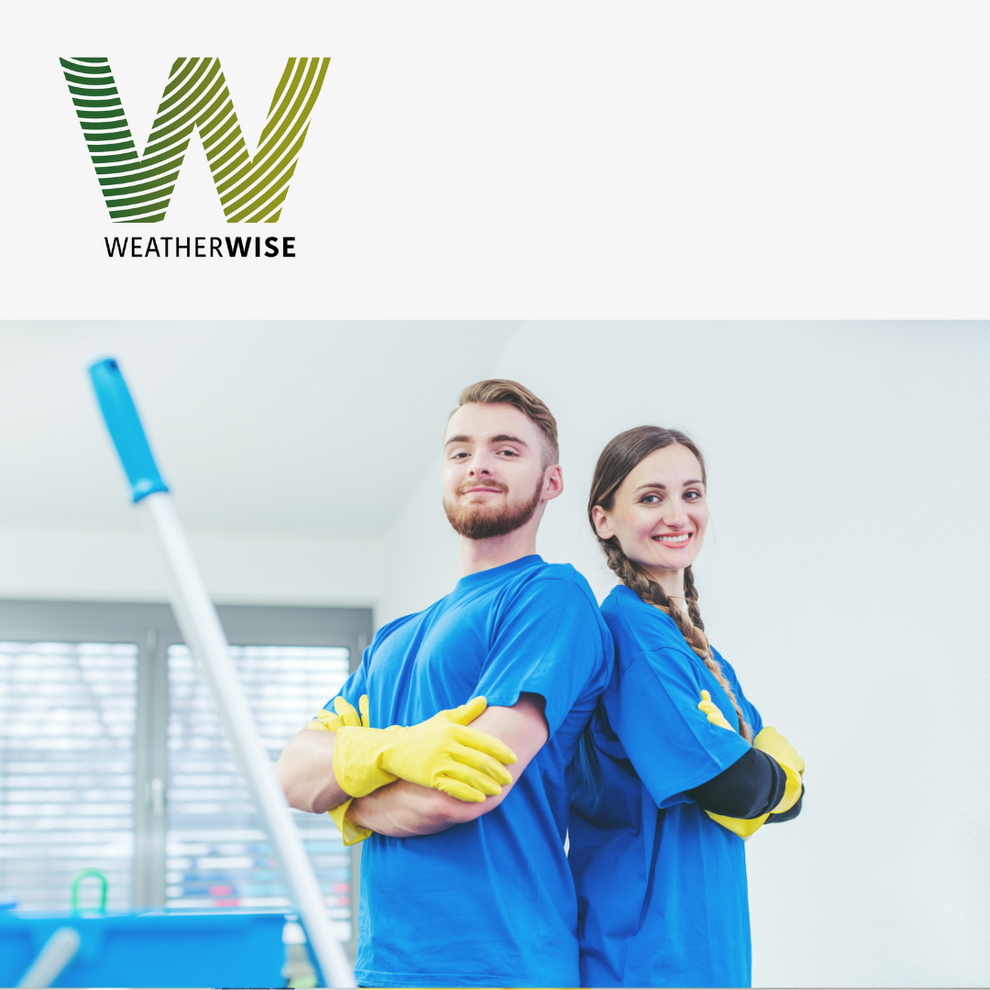 Blue Magic Cleaner | Multi Purpose Cleaning Concentrate